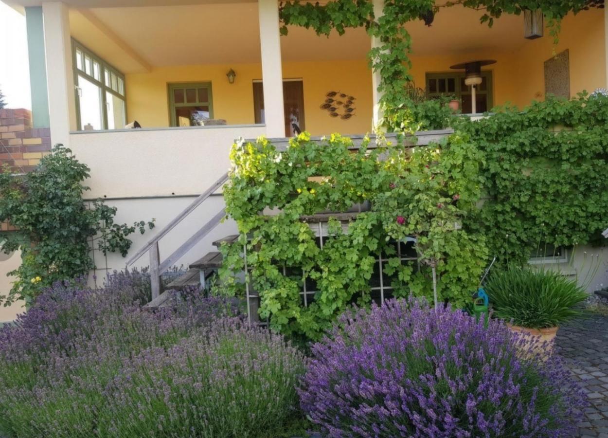 Ferienhaus Schiller Waren  Exterior photo
